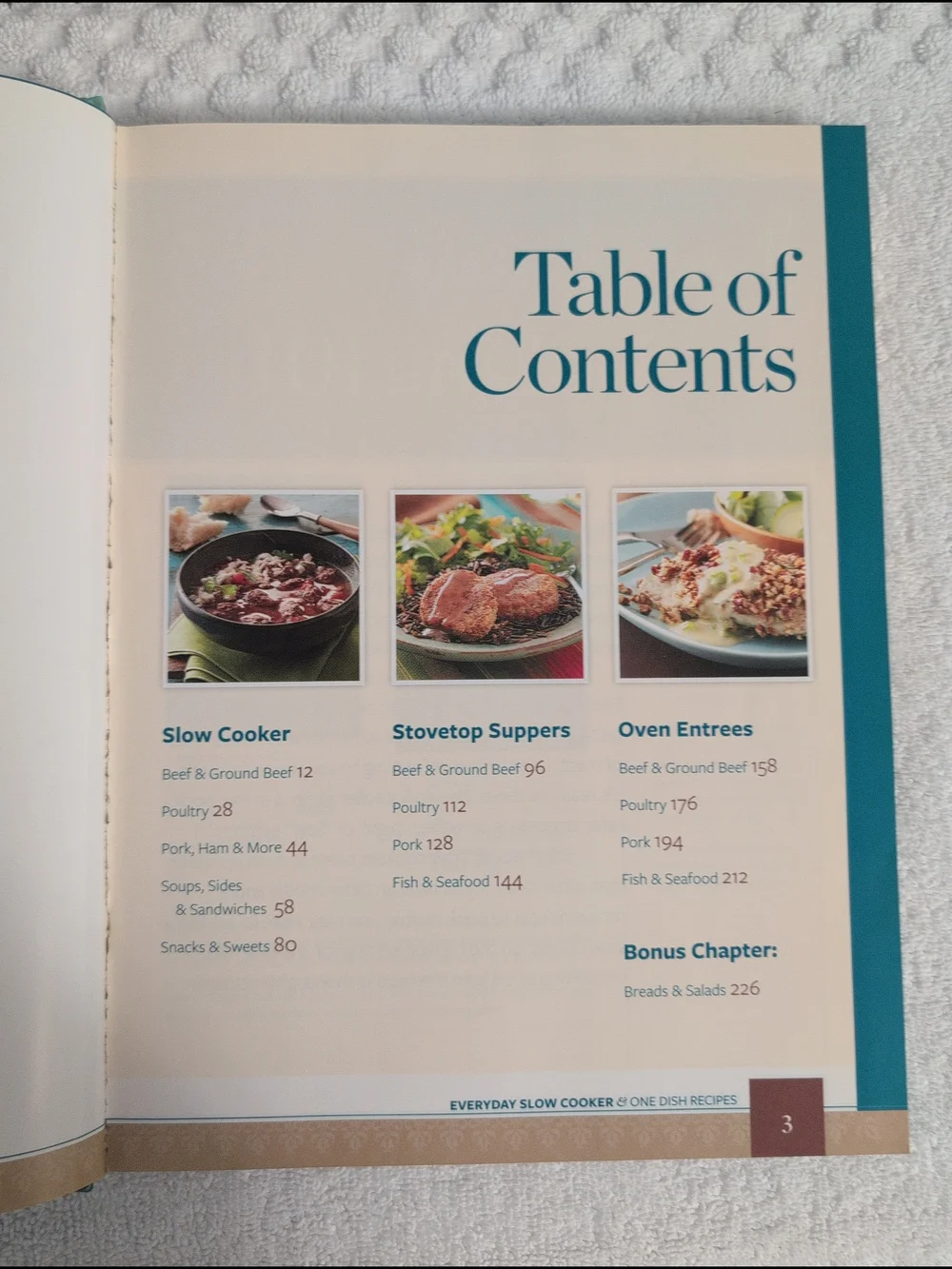 Taste of Home Everyday Slow Cooker & One Dish Recipes - Teal and White